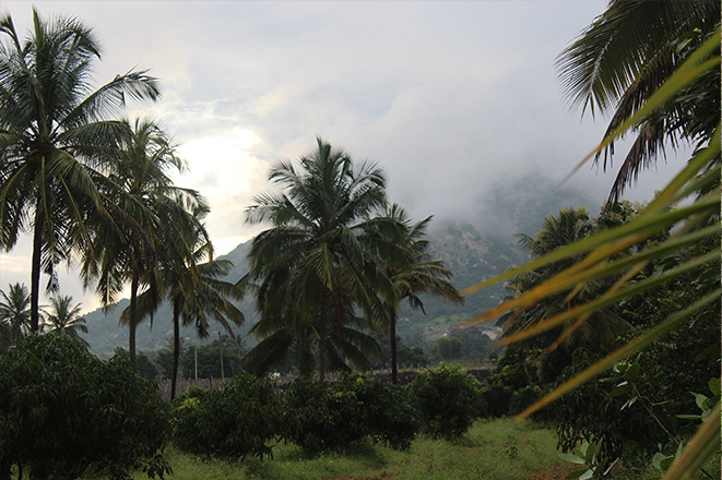 Adventure Activities Near Nandi Hills Bangalore