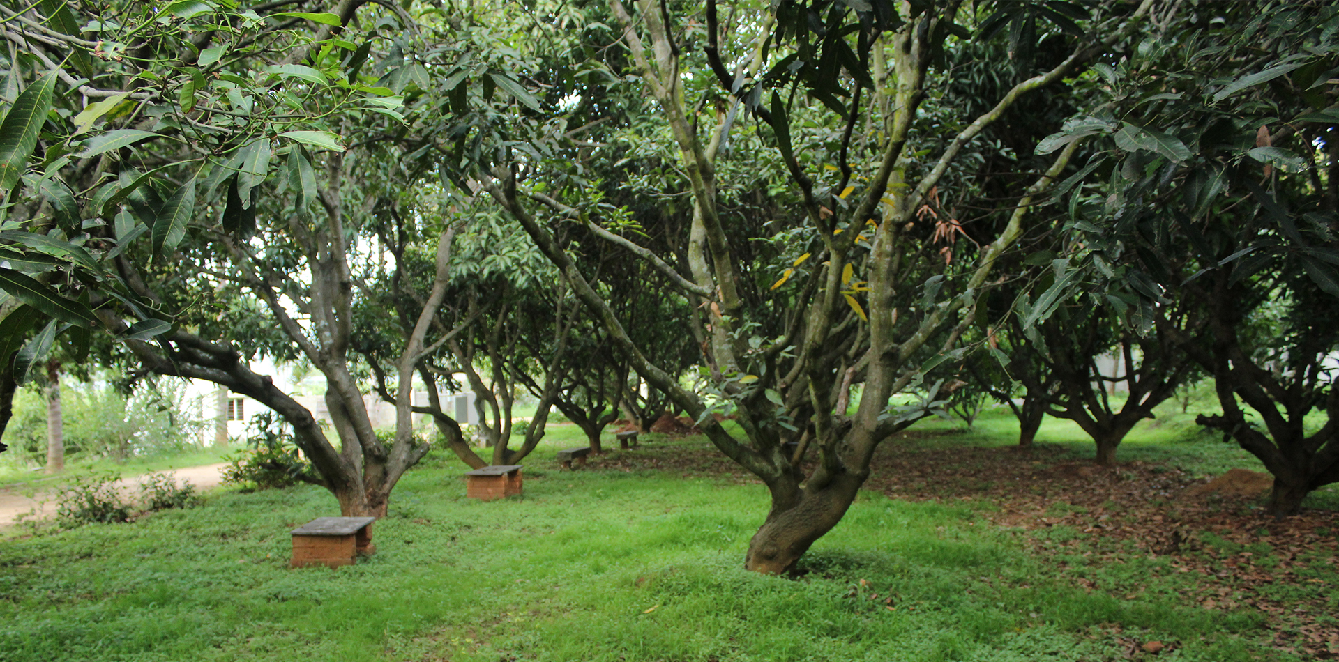 Farm Stay Near Nandi Hills, Bangalore